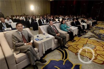 重庆创新科技闪耀“一带一路”，3D打印、石墨烯与人脸识别成果引侨商瞩目