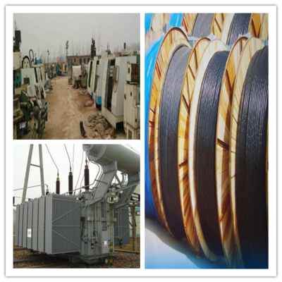 重庆春容再生资源祝贺Feijiu网十二周年 携手共筑循环经济新篇章